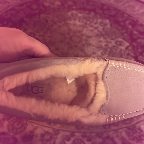 Woman’s Uggs Brand new still in box never been worn whatsoever - Picture 4 of 4